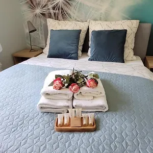 https://apartament-malina.szklarskaporebahotels.net